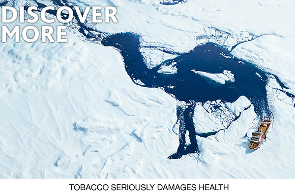 Camel: Discover More