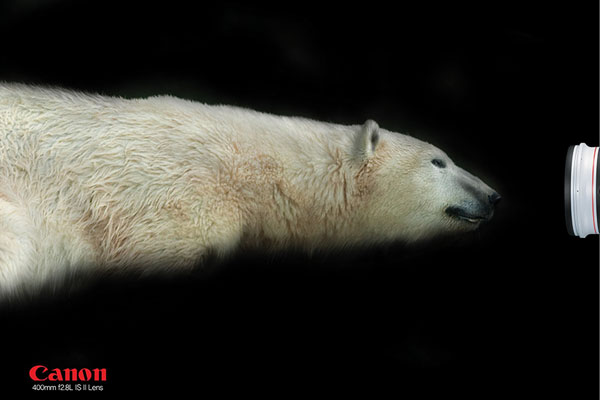 Canon: Polar bear, Wolf & Tiger