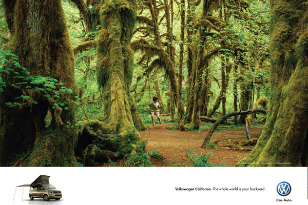Volkswagen California: Backyard