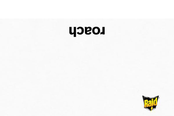 Raid: Mosquito, Roach, Ants