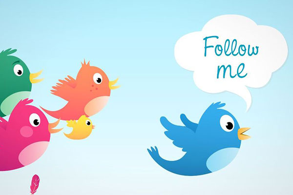 La gestione quotidiana dei following e dei follower